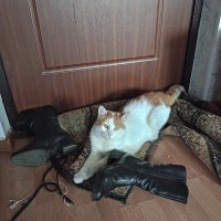 Ну поиграл, немножко! :: Ирина Соловьёва