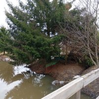 Прогулка с подругой :: Светлана Мишенёва