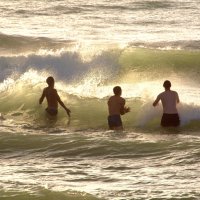 Коллективный заплыв :: Валерий Коллективный заплыв :: Валерий