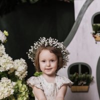 Весна :: Olga Весна :: Olga