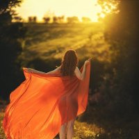 *** :: Александр Змеев