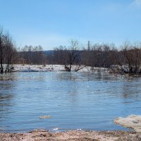 Половодье :: Анастасия Логинова