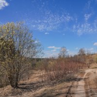 Под небом апреля... :: Владимир Жданов