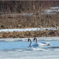 Был бы милый рядом... :: Валентин Котляров