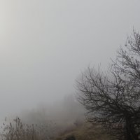 туман :: Валерий туман :: Валерий