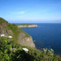 На острове Русский. :: unix (Илья Утропов) На острове Русский. :: unix (Илья Утропов)