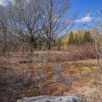 Палитра апреля... :: Владимир Жданов