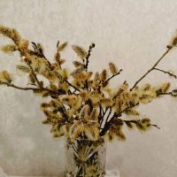 . С Внрбным вокресньем всех! :: Елена Сухорученкова . С Внрбным вокресньем всех! :: Елена Сухорученкова