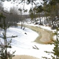 Март....Протока Коим пробуждается! :: Владимир Март....Протока Коим пробуждается! :: Владимир