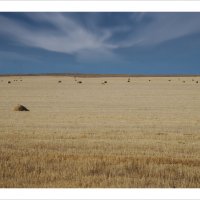 * :: Александр Иванов