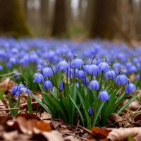 весны цветенье. :: Mila 