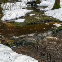 Журчит ручей :: Сергей Цветков Журчит ручей :: Сергей Цветков