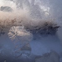 зима :: Елена Шаламова