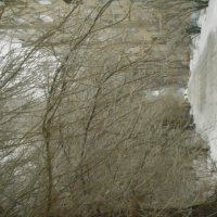 ледяная аллея :: Елена Шаламова ледяная аллея :: Елена Шаламова