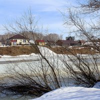 Иня весенняя :: Татьяна Лютаева Иня весенняя :: Татьяна Лютаева