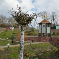 у Барского источника :: Сеня Белгородский