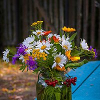 ОСЕННИЙ МОТИВ. :: Александр Дмитриев ОСЕННИЙ МОТИВ. :: Александр Дмитриев