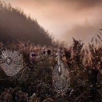 Царицыно 10 сентября :: Михаил Бибичков