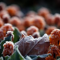 ВДНХ 1 октября :: Михаил Бибичков