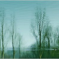 ОТРАЖЕНИЕ... :: Elvira E. 