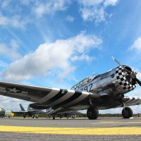 Авиашоу :: Сергей Сомихин