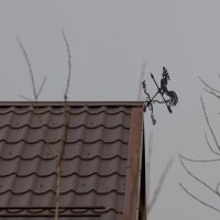 флюгер :: Татьяна Гузева