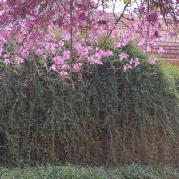 14  КЛОС (103) :: CLOSE WAYS ALL