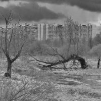 ...  пойма реки Яузы весной... в ненастный день... :: galalog galalog