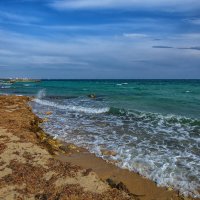 Чёрное в марте :: Vladimir 