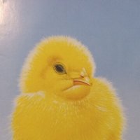 С Днём рождения ! :: Валерий Кокорев