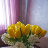 Весенний букет :: Ольга Весенний букет :: Ольга