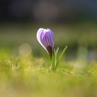 Пробуждение :: Иван Литвинов Пробуждение :: Иван Литвинов