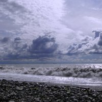 Барашки. :: Марина Леонидовна