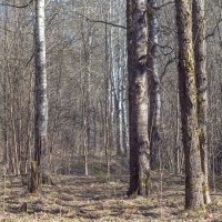 ___ :: Yuriy V ___ :: Yuriy V