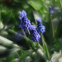 пробуждение :: Николай 