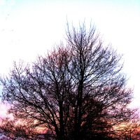 Вечерние краски :: Людмила Смородинская