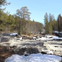 Быстрая Колвица :: Ольга 