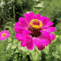 ,,, :: Сергей Тимоновский