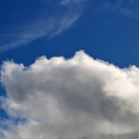 Апрельское небо :: Светлана Апрельское небо :: Светлана