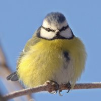 ... :: Вячеслав Минаев