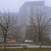 В тумане :: Dar(k) Life В тумане :: Dar(k) Life