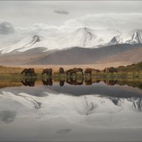 Зона покоя :: Влад Соколовский