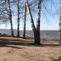 Петергоф. Финский залив :: Наталья Герасимова