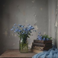 Весенний бриз в старой комнате :: Lena )