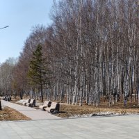 А вот и весна пришла :: Виктор Иванович Чернюк