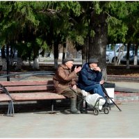 Светская беседа. :: Михаил К