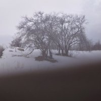 Ак Булак. Талгар. :: Murat Bukaev 