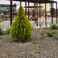 Актау :: Анатолий Чикчирный