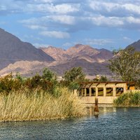 Укрытие :: Eugene * Укрытие :: Eugene *