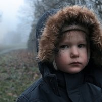 Холодная туманная осень :: Valziwa Холодная туманная осень :: Valziwa